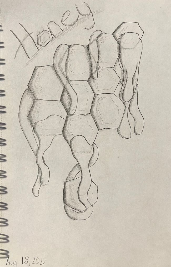 Honey